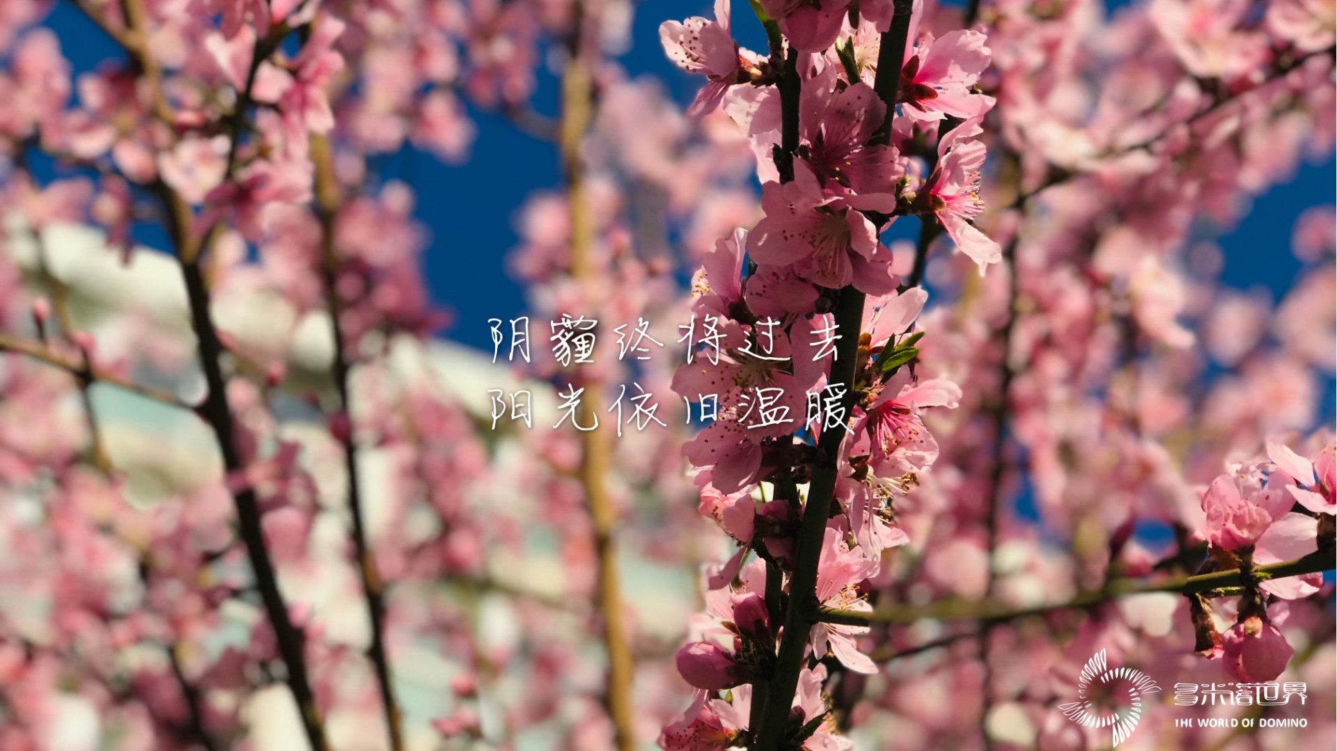 同心同力戰疫必勝